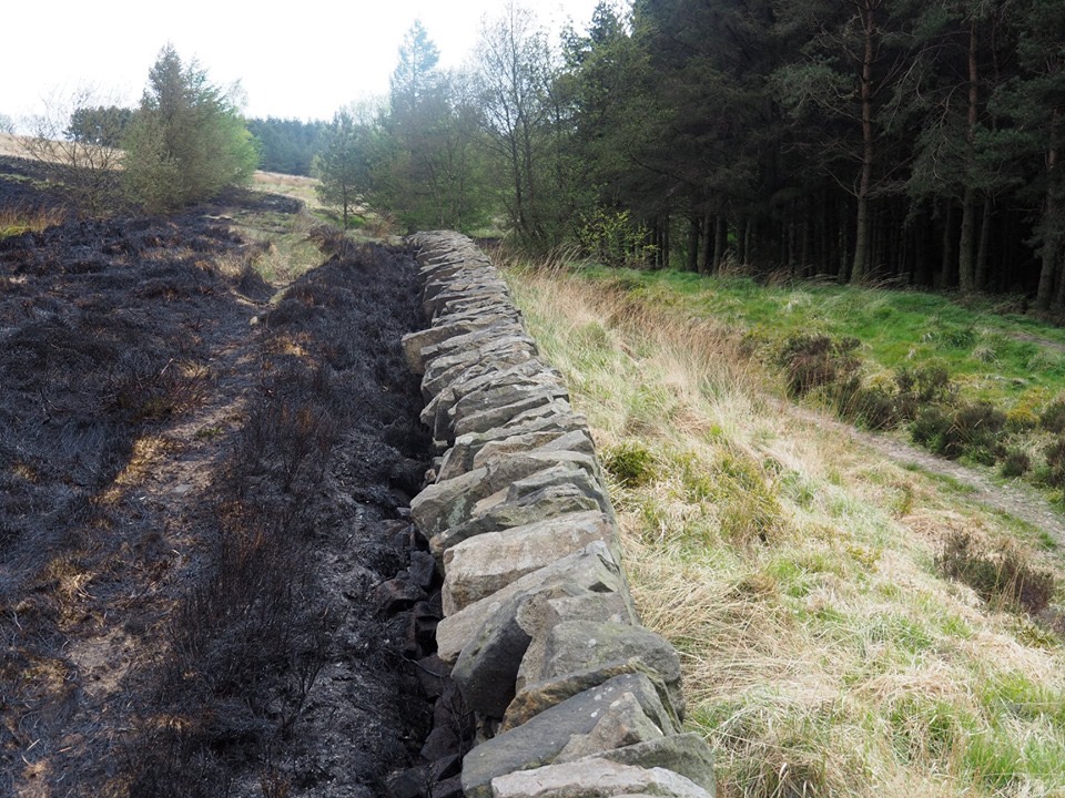 Wall stops wildfire in its tracks at Cromton Moor