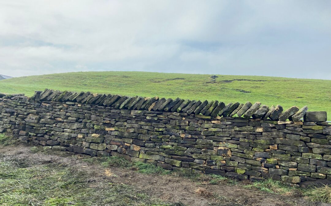 PRACTICE MEET, SCOUTHEAD FARM, MAY 2026